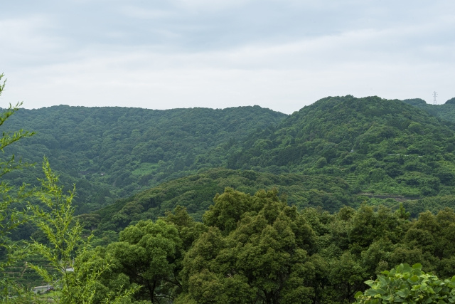八王子　土地　地目