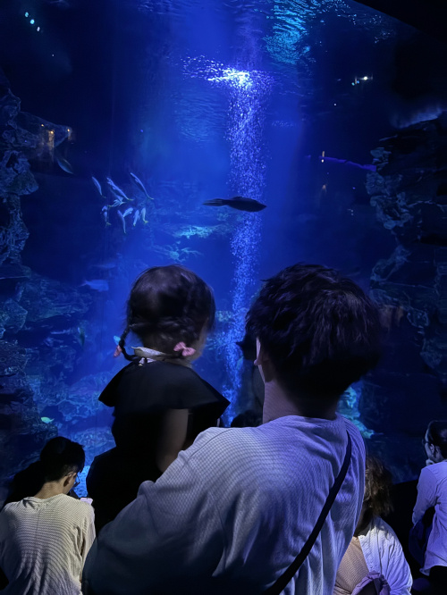 ＼京都水族館／の画像