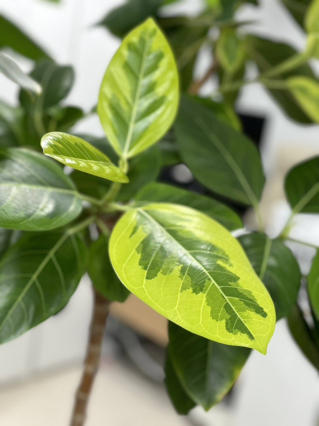 新事務所に移動しての画像