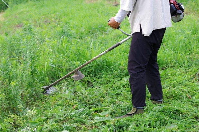 農地転用・地目変更って何？の画像