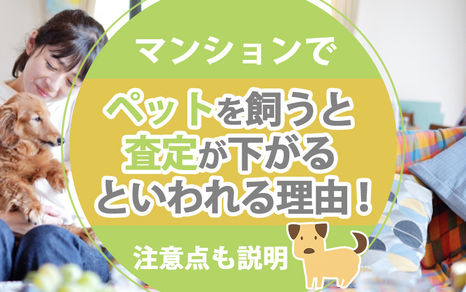 マンションでペットを飼うと査定が下がるといわれる理由！注意点も説明の画像