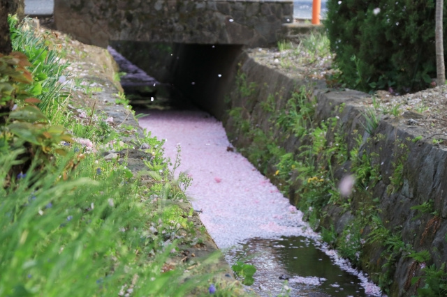 水路に面した土地は売却が難しい？デメリットや売却の方法をご紹介の画像