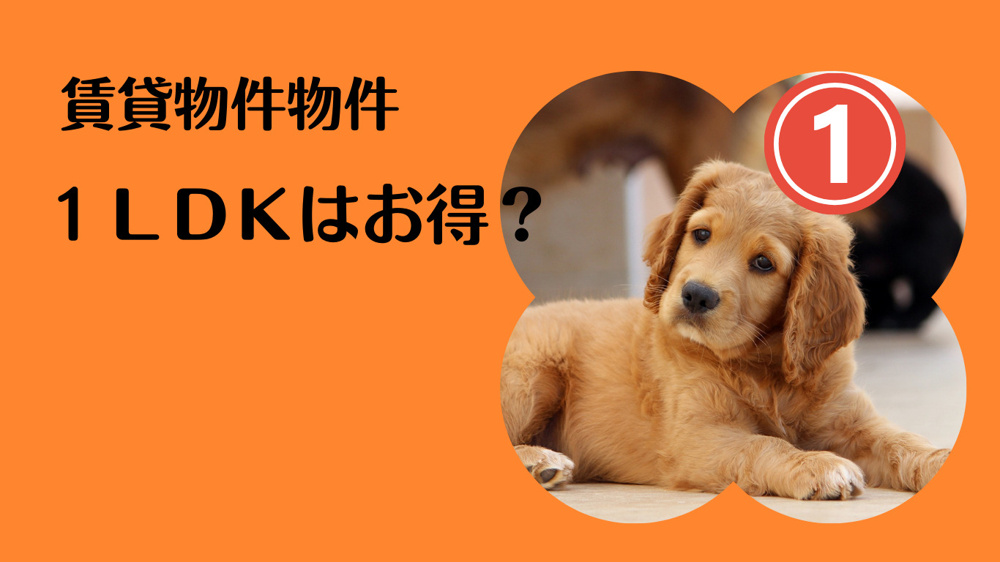 賃貸物件１ＬＤＫはお得？の画像
