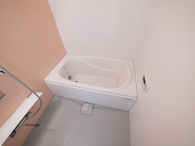 木津ロイヤルメゾンの室内写真3
