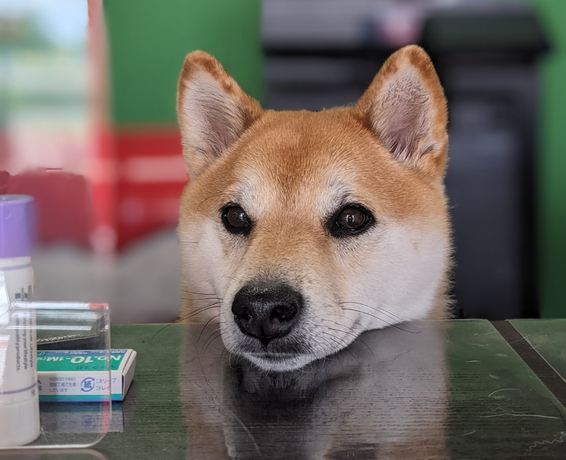 台風による臨時休業のお知らせの画像
