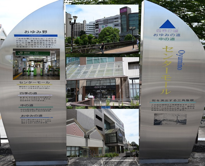 安心と利便性を兼ね備えたおゆみ野地区の魅力 ～ソルグランデのある街～の画像