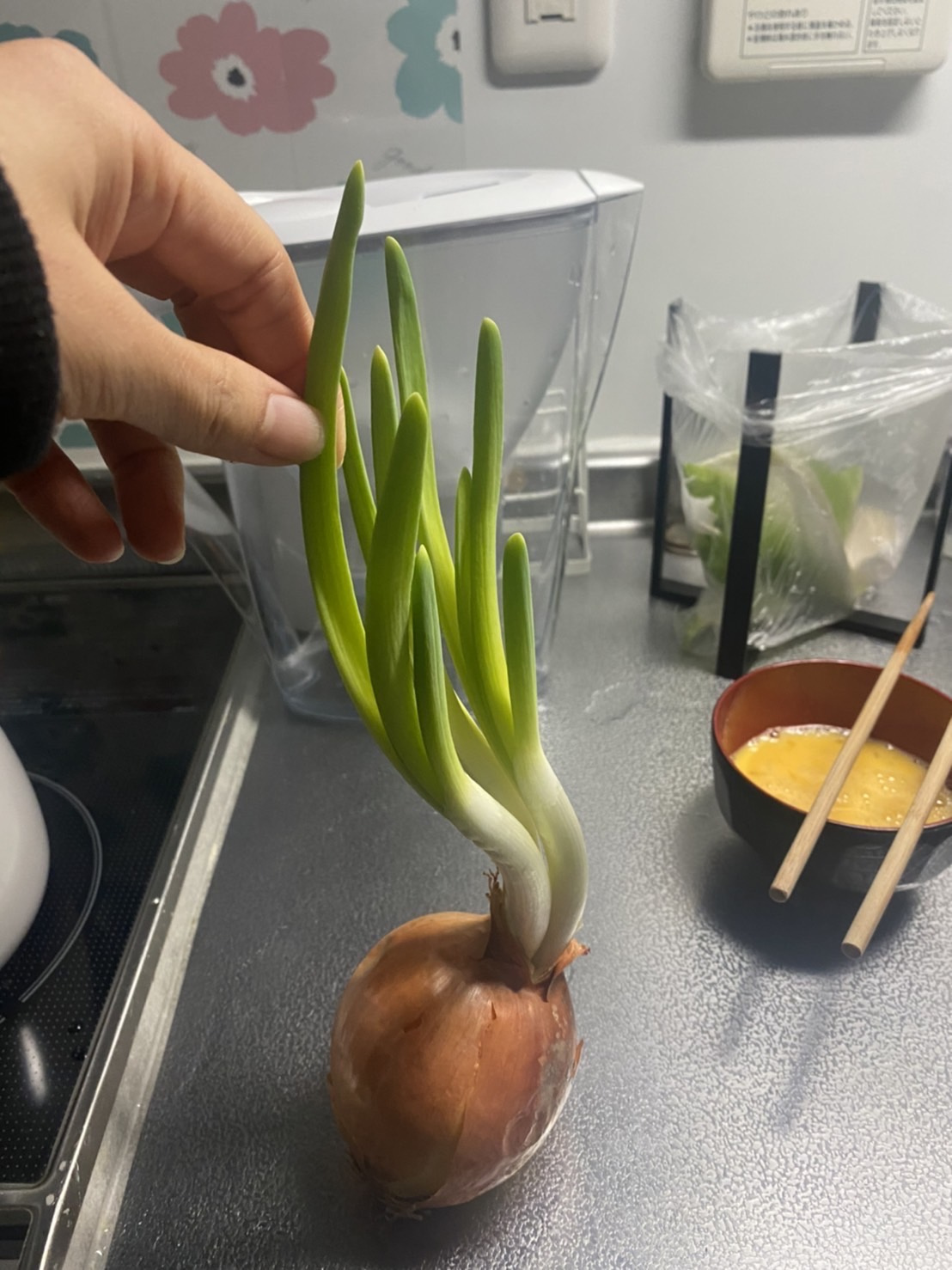 ＼お化け玉ねぎ／の画像