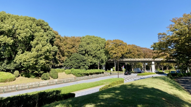 渋谷区の住みやすさについて！概要や魅力もご紹介