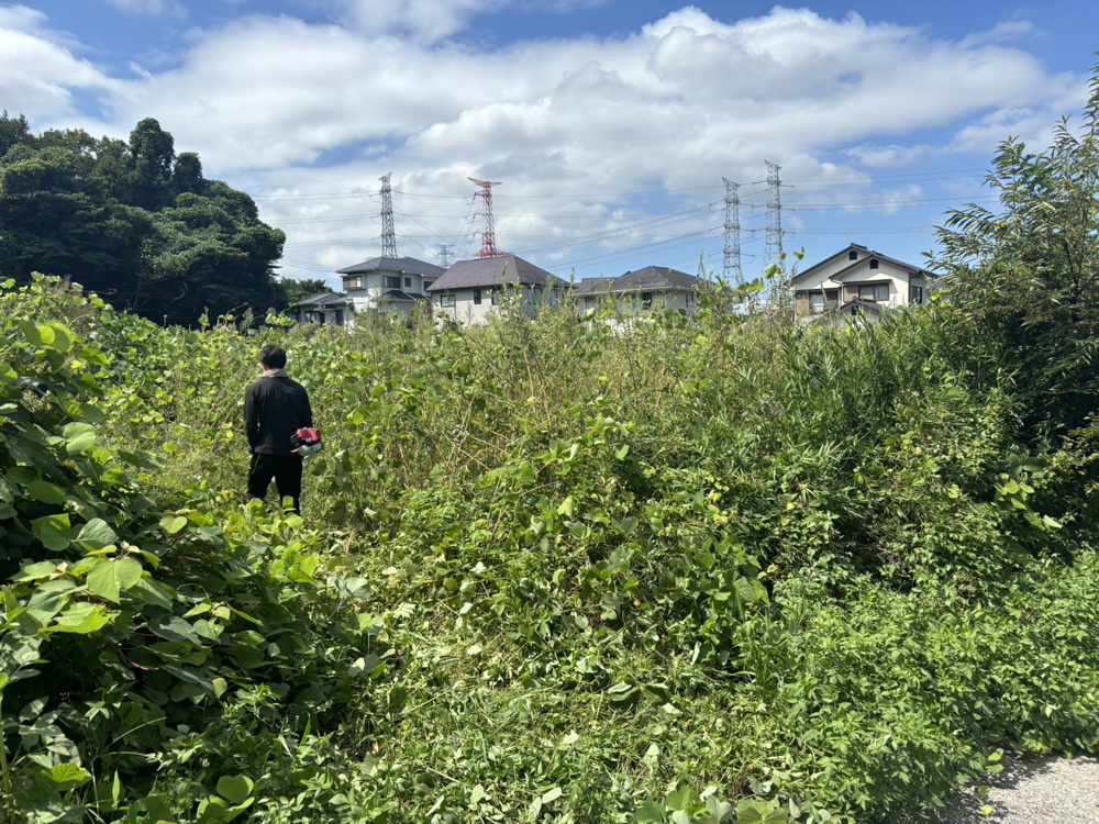 大草刈り(^^)/の画像