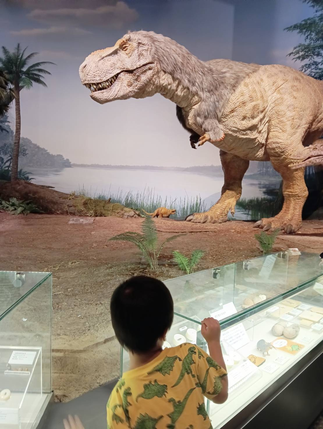 茨城県自然博物館の画像