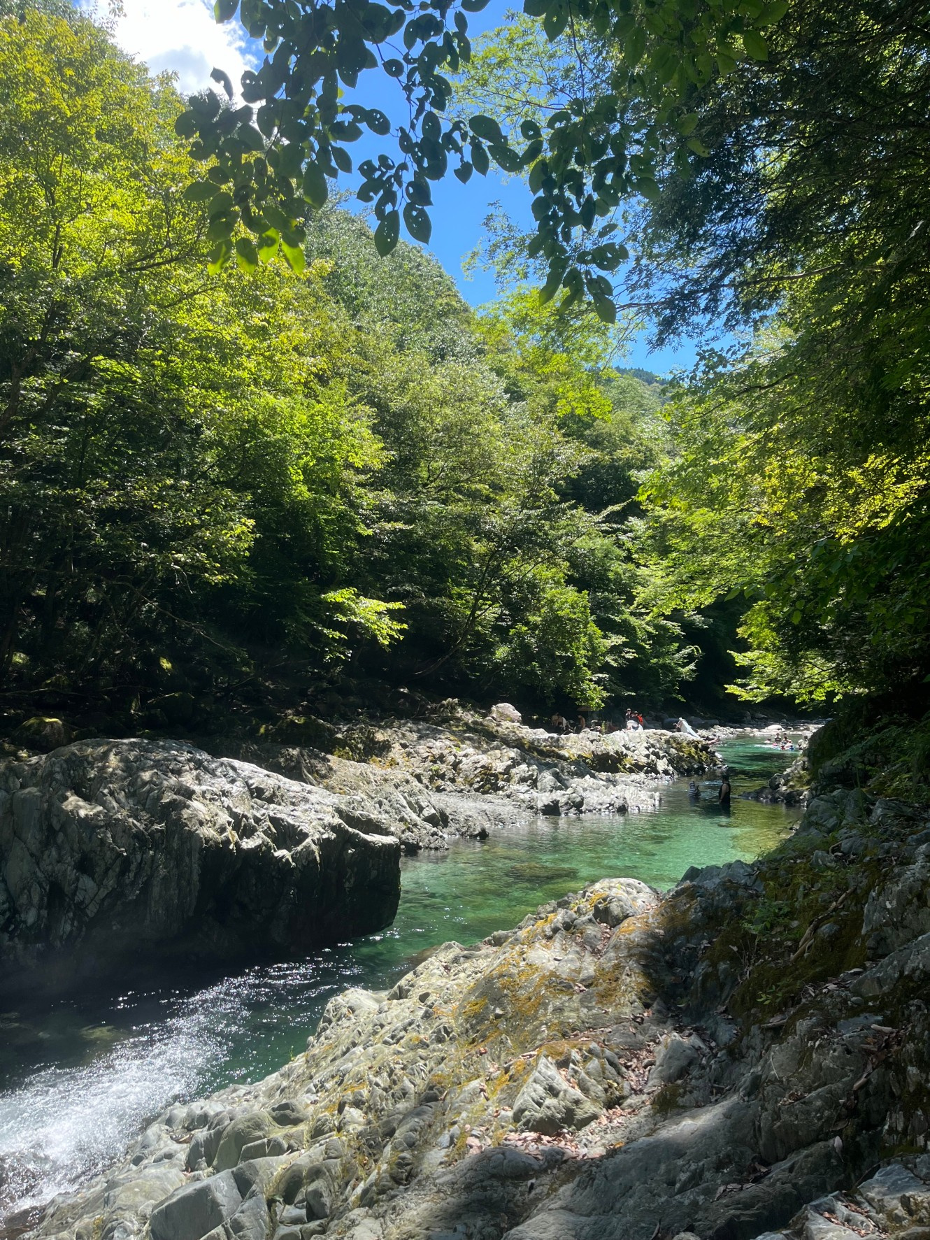 山奥のの画像