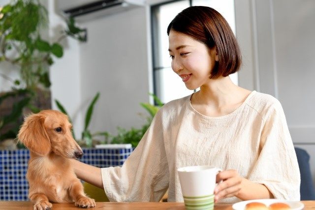 ペット可の物件に住むときに注意すべきことは？