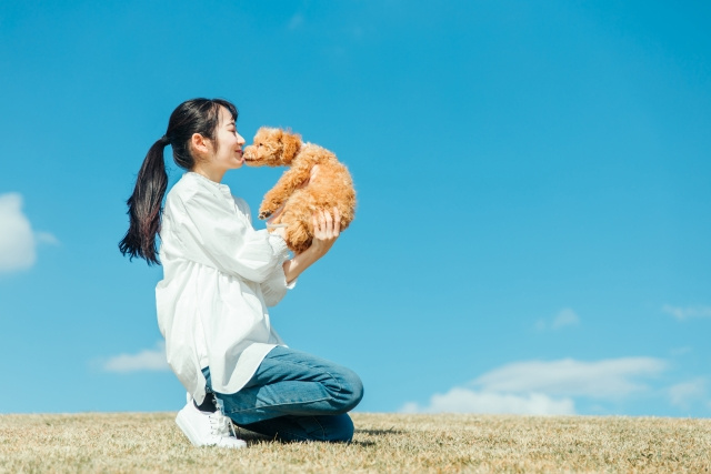【木津駅周辺のペット飼育可(相談可)の賃貸物件の特徴は？】まとめ