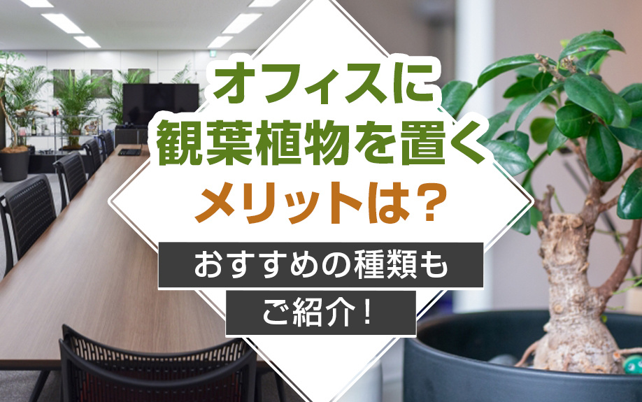 オフィスに観葉植物を置くメリットは？おすすめの種類もご紹介！