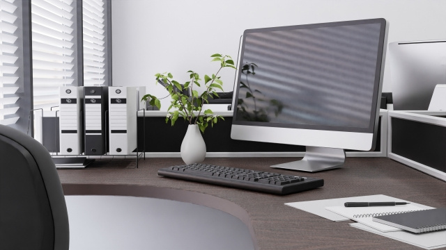 オフィスにおすすめの観葉植物の種類