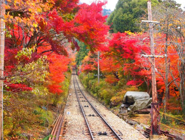 秋を元気に楽しく過ごすために♪の画像