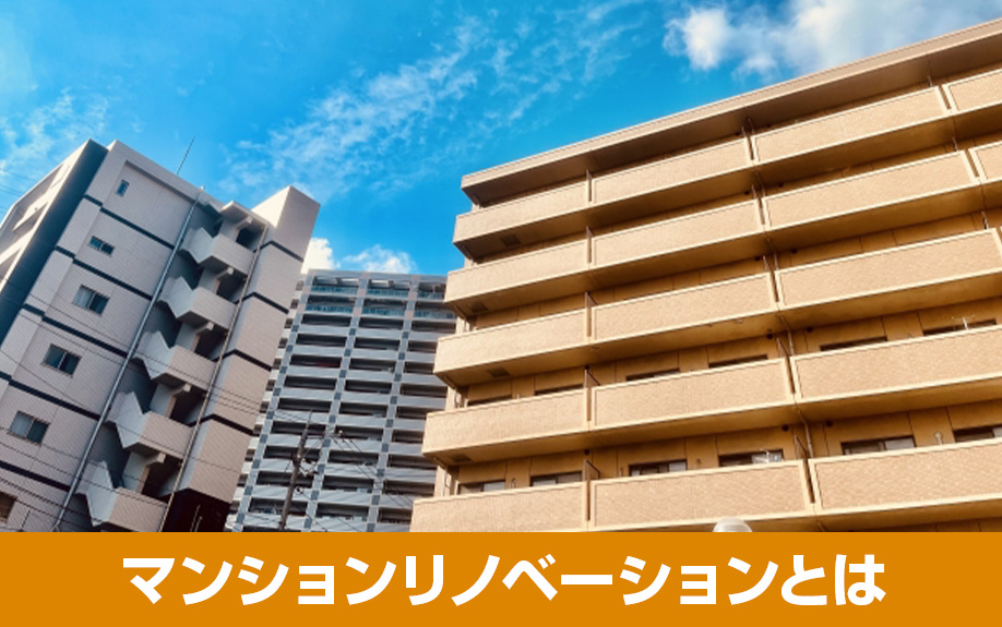ペットのためのマンションリノベーションとはなにか