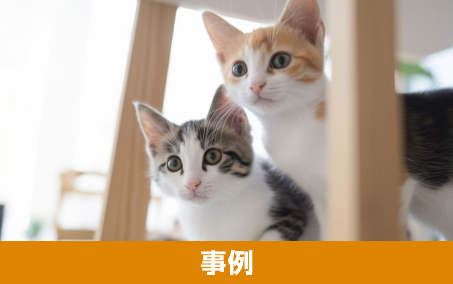 ペットのためのマンションリノベーションの事例について