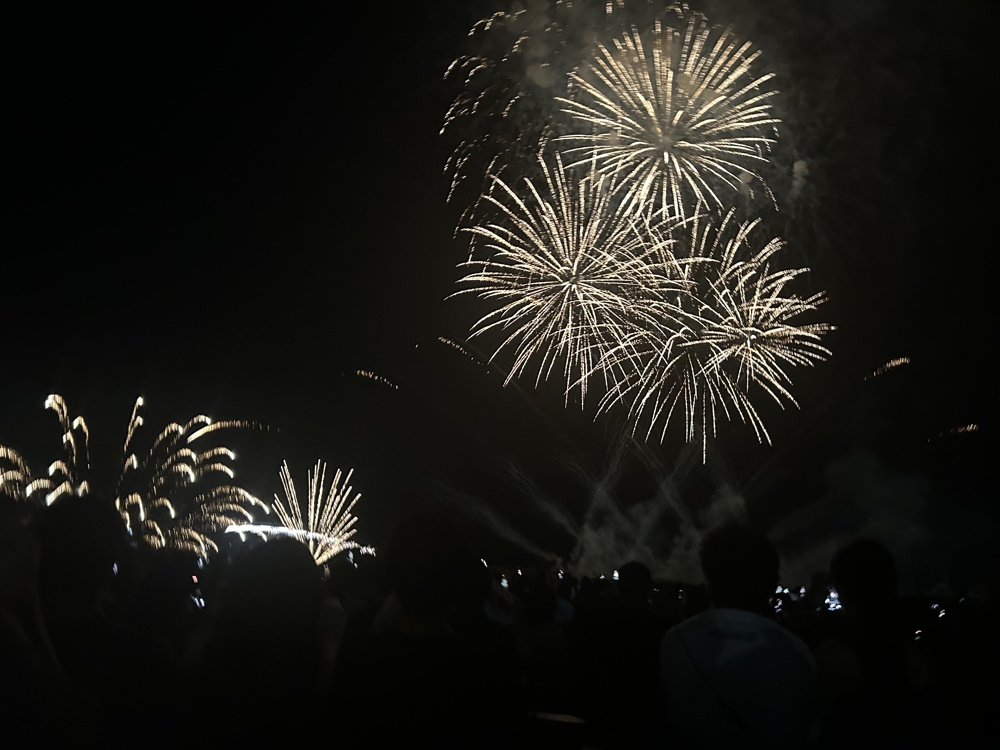 夏の風物詩♪の画像