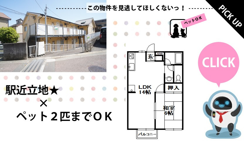 PICKUPの画像