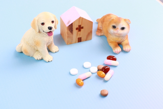 和歌山市宮前駅エリアにある和歌山動物病院