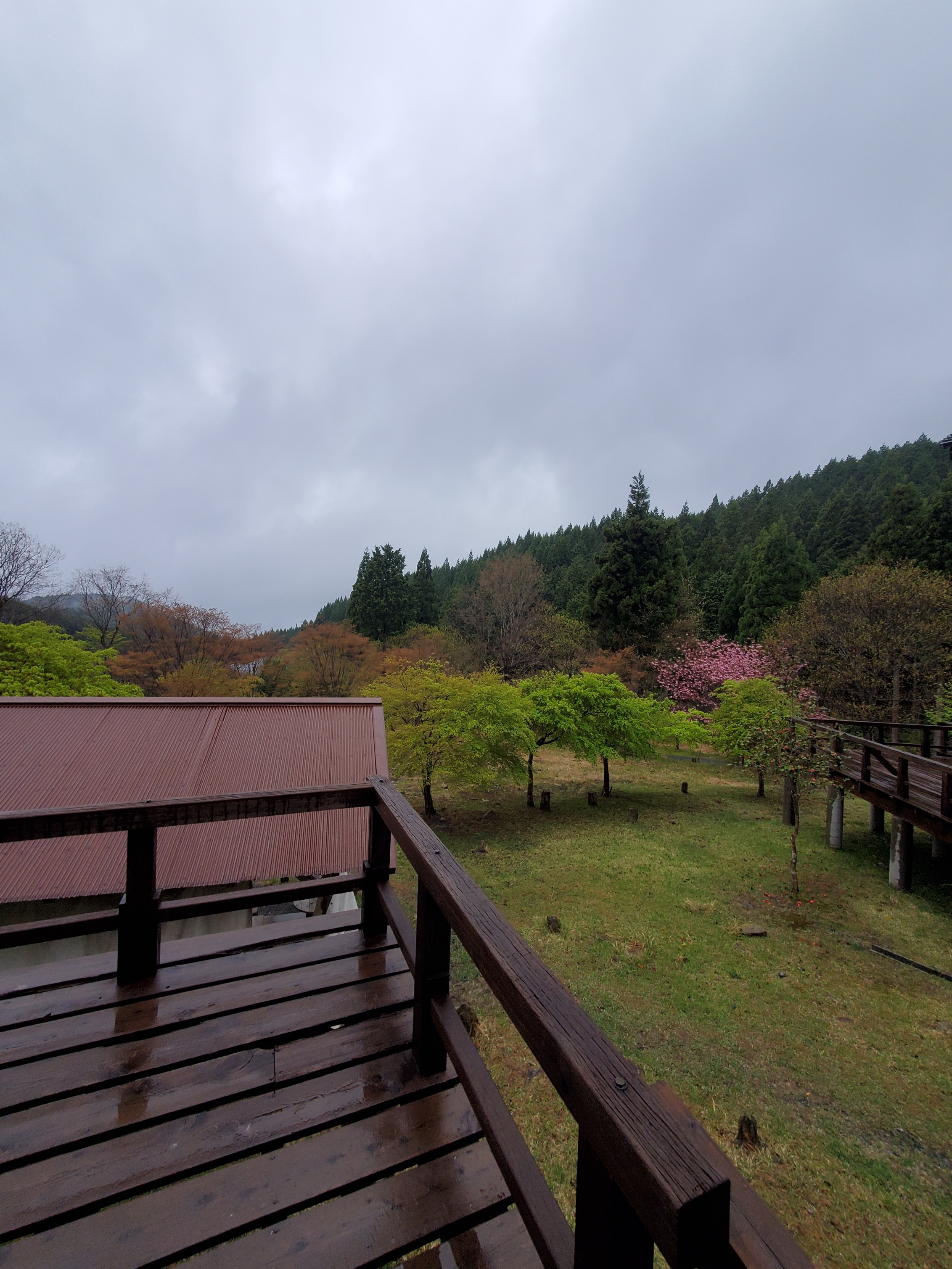 ※削除不可※ 藤岡 慎太朗 スタッフ詳細用の画像