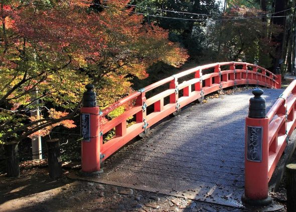 秋バテにご注意((+_+))の画像