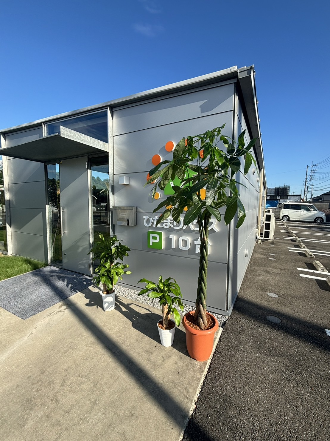 ひだまりハウス野田店の植物達の画像