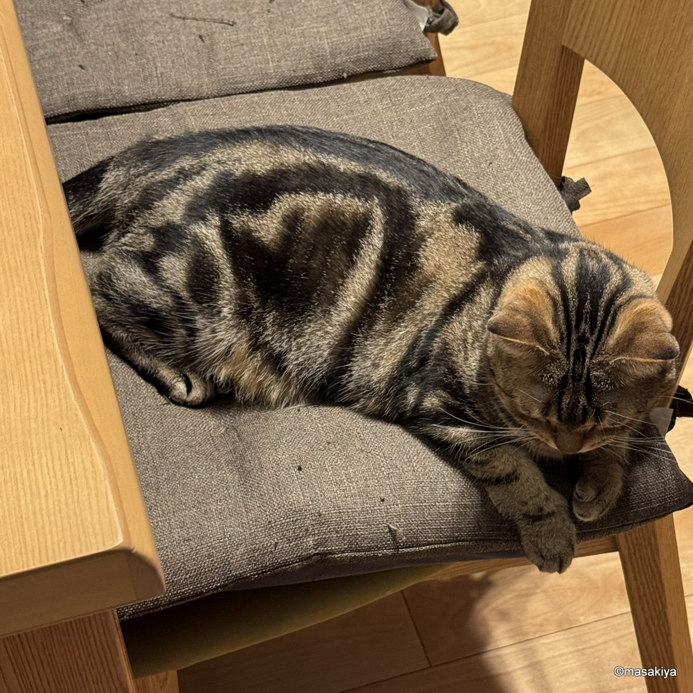 カメラ選びの画像