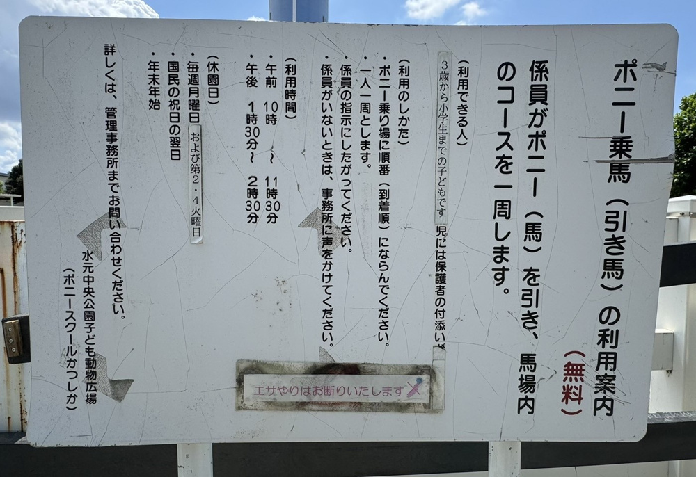 乗馬体験に行ってきました♪の画像