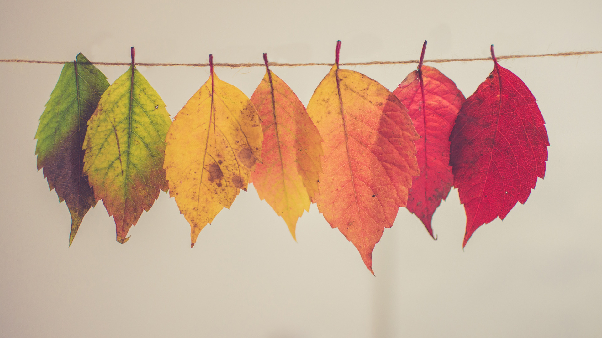 今日は「秋分の日」ですねの画像