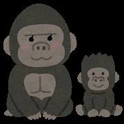 世界ゴリラの日の画像