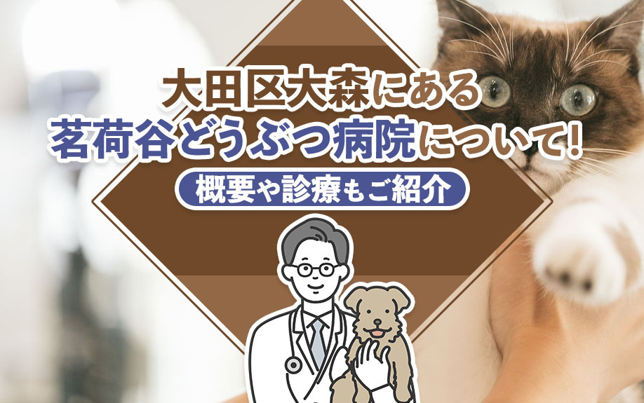 大田区大森にある茗荷谷どうぶつ病院について！概要や診療もご紹介