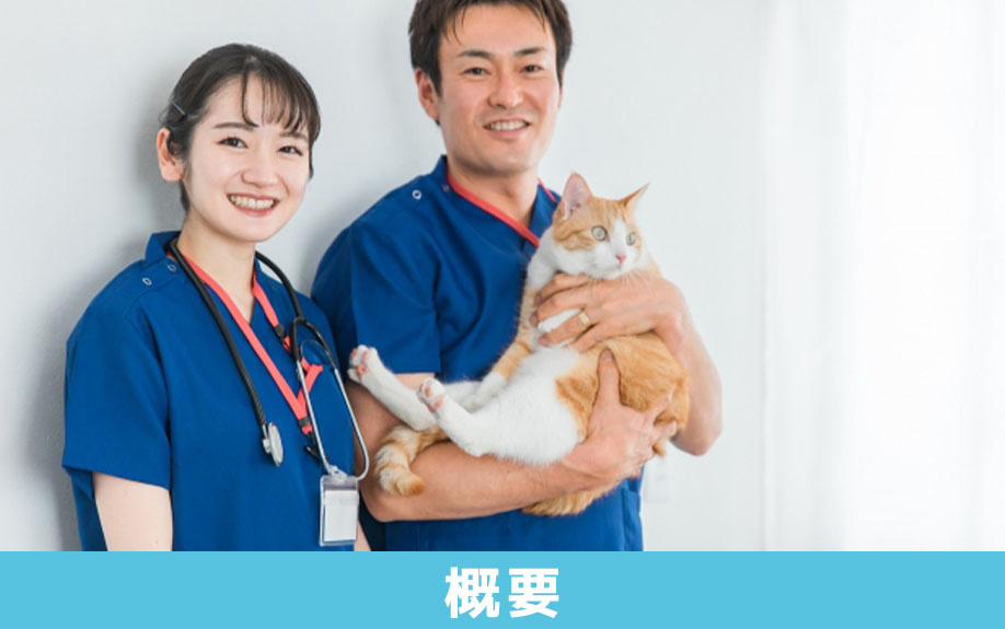 大田区大森の茗荷谷どうぶつ病院の概要