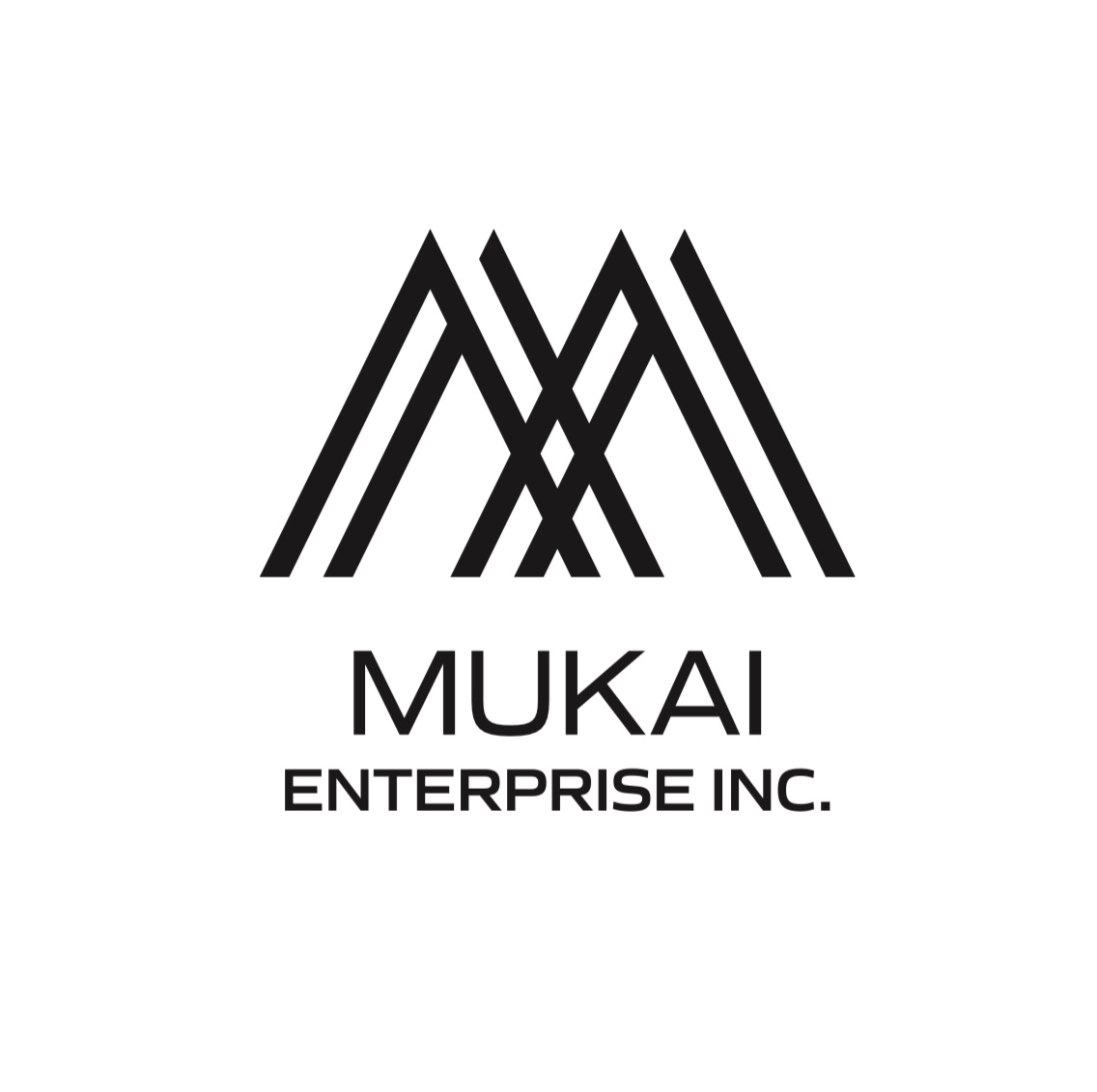 はじめまして(^^♪ムカイエンタープライズです☆の画像