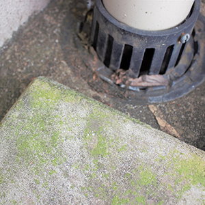 バルコニーの排水口