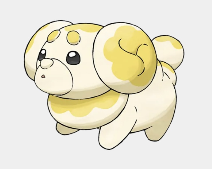 新しい家族が・・！？の画像