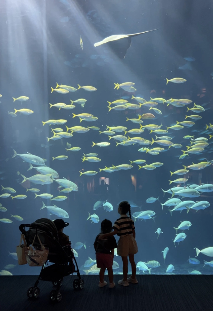 四国水族館の画像