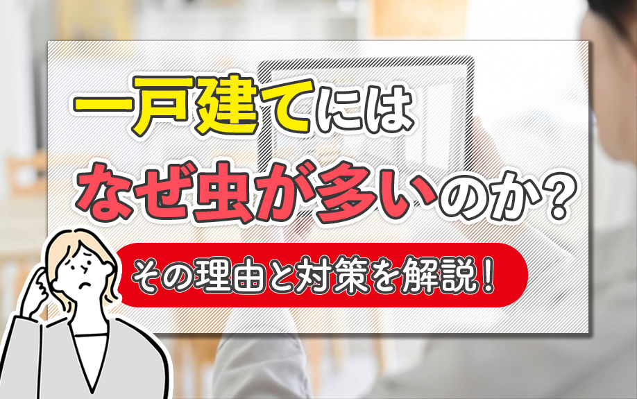 一戸建てにはなぜ虫が多いのか？その理由と対策を解説！の画像