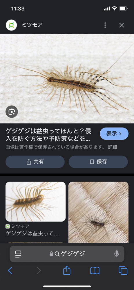 家の守護者の画像