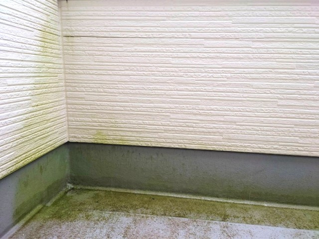 ベランダに苔が生える原因！掃除方法や苔の発生を予防する方法を紹介の画像