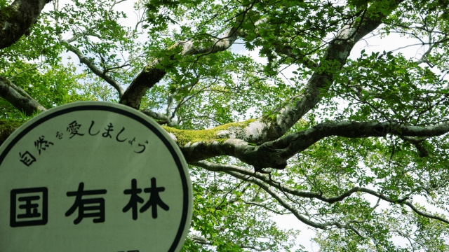 固定資産税がかからない土地は相続税がかかる？申告方法も解説！