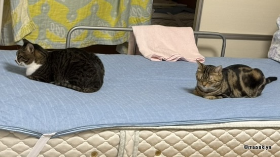 あと3か月の画像