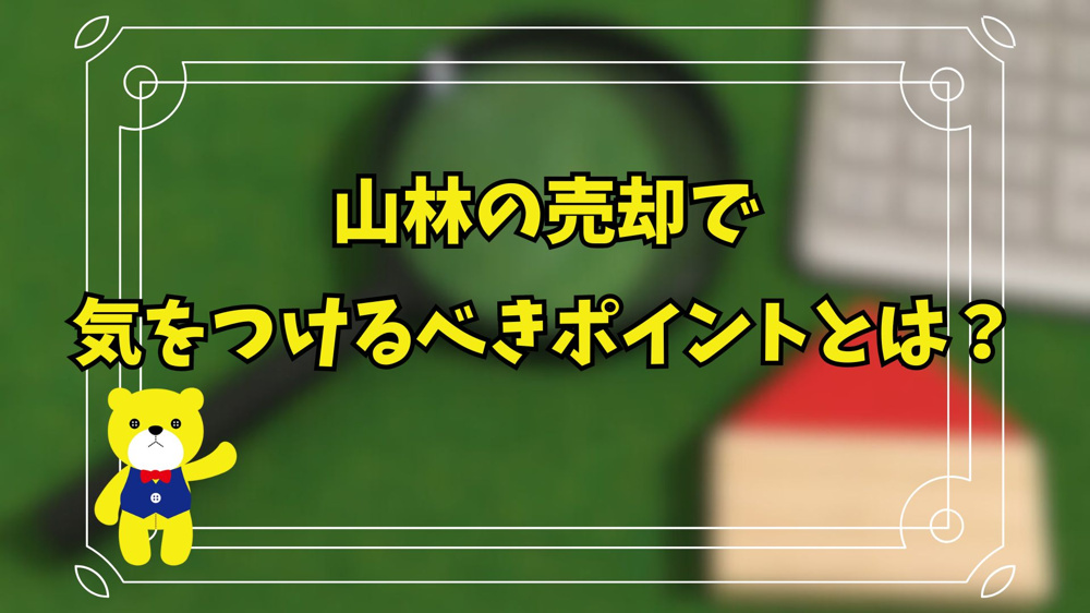 山林の売却で気をつけるべきポイントとは？の画像