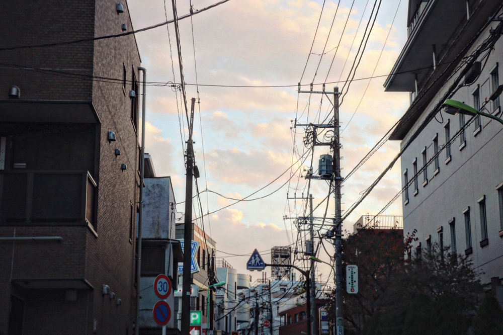 ゆったり散策の画像