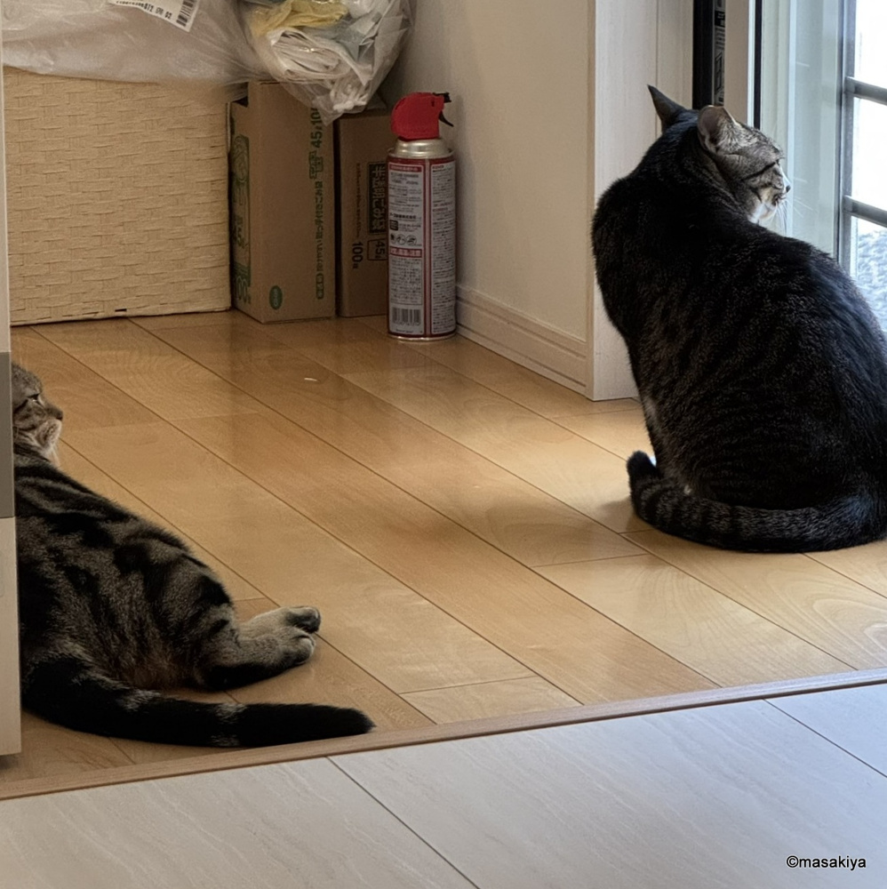 勝手口の窓の画像