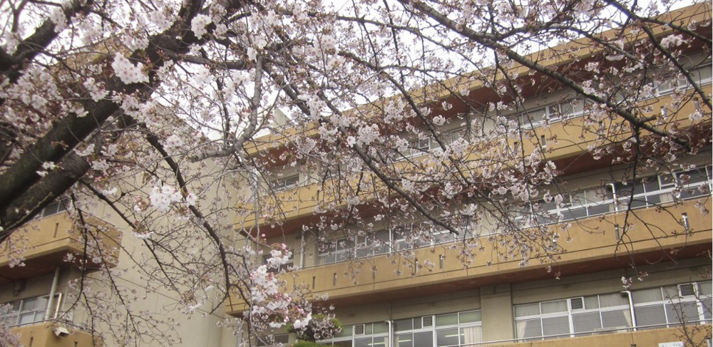 高崎市にある浜尻小学校の紹介の画像