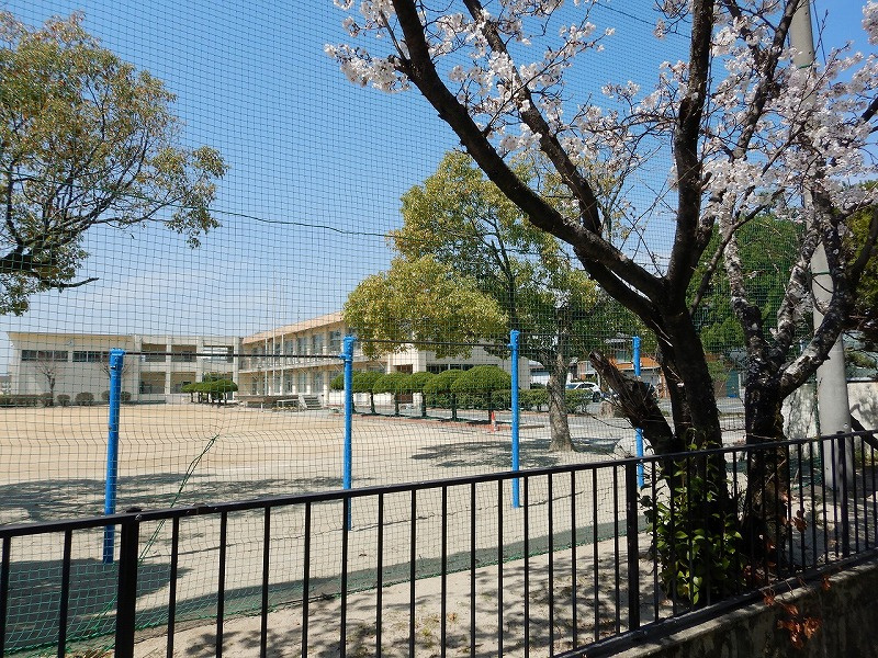 【2024年】稲沢市千代田小学校区の土地相続！成功への道筋とは？の画像