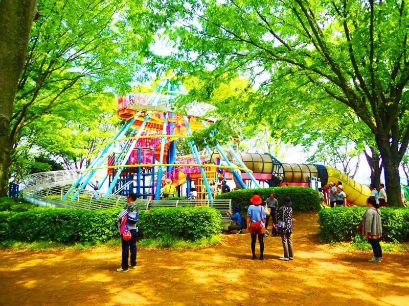 ヒロサワ県西総合公園のご紹介♪の画像