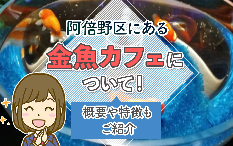 大阪市阿倍野区にある金魚カフェについて！概要や特徴もご紹介の画像